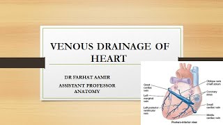 Veins of the body  PART 2  Anatomy Tutorial [upl. by Aiset]