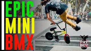 FatBoy Mini BMX at Venice Skatepark [upl. by Engenia439]