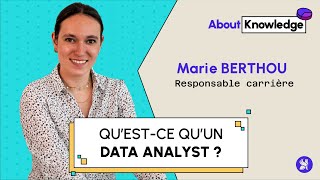 Questce qu’un Data Analyst [upl. by Encratia]