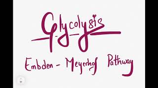 Glycolysis Embden Meyerhof Pathway  Aerobic  Anaerobic  ATP [upl. by Lynett]