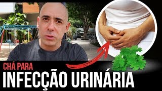 O QUE USAR PARA INFECÇÃO URINÁRIA  Dr Dayan Siebra [upl. by Shelbi983]