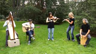 Irish Traditional Music  WANT TO DANCE  Celtic Ireland with Violin [upl. by Ellenyl123]