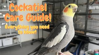 Cockatiel Care Guide  Everything You Need To Know  TheParrotTeacher [upl. by Ecydnac]