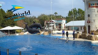 SeaWorld Orlando Dolphin Show 2003 [upl. by Noinatrad]