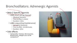 Pulmonary Pharmacology 2 Bronchodilators [upl. by Vahe]