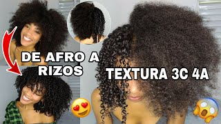 COMO DEFINIR EL CABELLO AFRO RIZADO TEXTURA 3C 4A  DEFINICIÓN DE RIZOS EN AFRO 😱 Rachell Santos [upl. by Pietra]