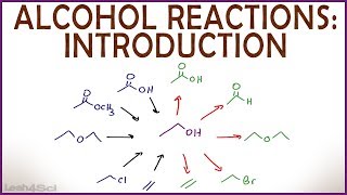 Introduction to Alcohol Properties and Reactions [upl. by Kcirdahs]