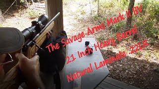 Savage Mark II BV 22LR [upl. by Diet]