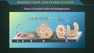 Disinfection and Sterilization [upl. by Gertrudis]