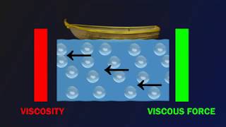 Understanding Viscosity and Viscous Force [upl. by Liba137]