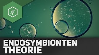 Endosymbiontentheorie [upl. by Noreh]