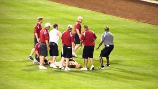 Fan Streaking On Field At Busch Stadium St Louis [upl. by Ilowell577]