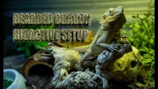 PROPERLY Set Up a Desert BIOACTIVE for your BEARDED DRAGON [upl. by Ailema291]