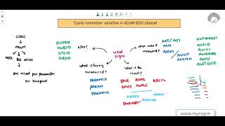 CDISC ADaM Easily remember BDS dataset variables [upl. by Anilram]