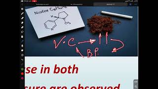 Pharmacognosy III  Alkaloids  Lecture 2  part 2 [upl. by Yuji]