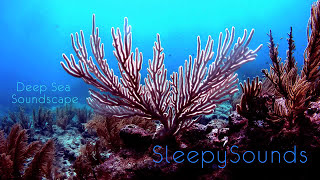 Deep Sea Soundscape – 9 hours of underwater ambience – Deep Ocean Sleep Sounds [upl. by Bigod]