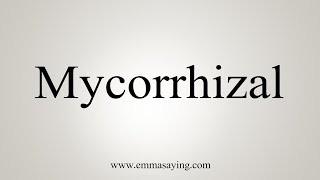 How To Say Mycorrhizal [upl. by Wolfe]