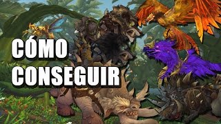 Monturas de Élites Draenor  WoW Guía en Español [upl. by Aitropal]