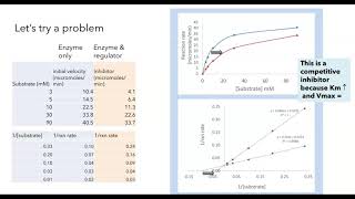 Michaelis Menten and Lineweaver Burk plots [upl. by Rici460]