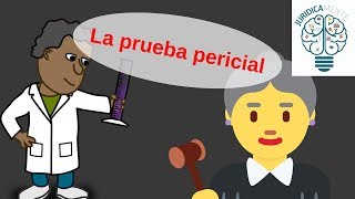 La prueba pericial [upl. by Buford]