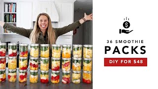 DIY Frozen Smoothie Packs on a Budget [upl. by Hajidak]