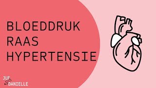 Bloeddruk RAAS en hypertensie [upl. by Atsyrt]