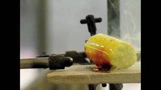 Fluorine Reactions  Periodic Table of Videos [upl. by Broadbent]