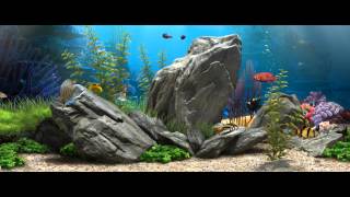 3D Fish Aquarium  219 Live Wallpaper  1080p [upl. by Esined]