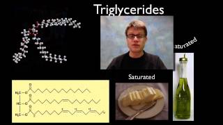 Lipids [upl. by Rma]