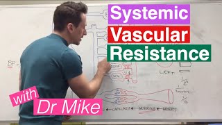 Systemic Vascular Resistance Total Peripheral Resistance  Cardiology [upl. by Annovoj360]