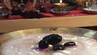 Shaligram Puja Part 1 Panchamrit Abishekam [upl. by Una372]