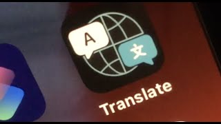 How to use Translate on iPhone iOS 14 [upl. by Kala562]