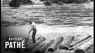 Logging In Idaho  USA 1926 [upl. by Thurstan]