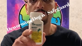 Deworming A Puppy With Safeguard Goat Dewormer [upl. by Eizdnil]