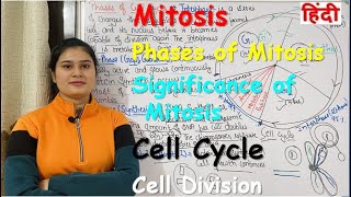 Mitosis in Hindi  Cell Cycle  Cell Division  Phases of Mitosis  Significance of Mitosis [upl. by Etteuqram482]