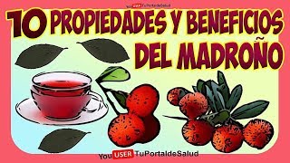 10 Propiedades y Beneficios del Madroño para la Salud  Planta Medicinal Madroño🌷 🌳 🍒 [upl. by Ibbetson]