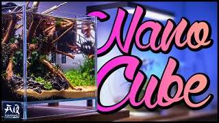 Kleines Nano Cube Aquarium einrichten  AquaOwner [upl. by Sibyl417]