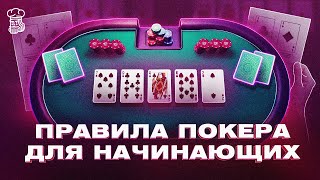 Правила покера в Техасский Холдем для начинающих [upl. by Melodee5]