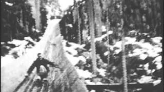 USFS  Historical Footage  Clearwater Flume Logging  1938 [upl. by Arayc]