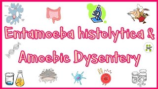 Stool analysisLab diagnosis of dysentery bacillary dysentery [upl. by Jair]