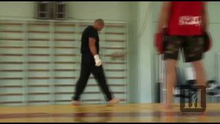 Fedor Emelianenko Punching powerTraining after werdum loss [upl. by Winer]