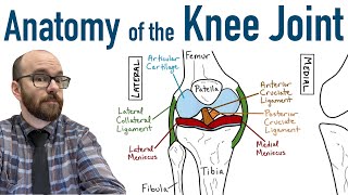 Do I Need A Knee Scope Knee Arthroscopy [upl. by Haissem]