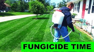 Putting down chemical lawn fungicide [upl. by Olly]