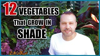 12 Vegetables That Grow in Shade [upl. by Lina836]