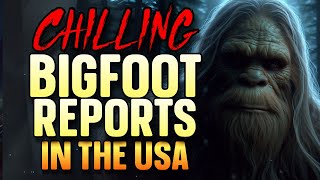 CHILLING BIGFOOT REPORTS IN THE USA [upl. by Zarah]