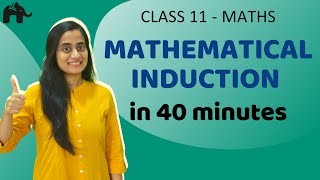 Mathematical Induction Class 11 in Hindi [upl. by Akihsan]