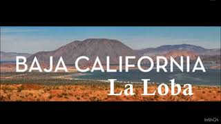 La Loba Baja California Norte [upl. by Karrah]