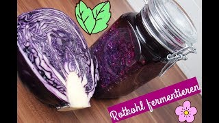 ❤ Rotkohl fermentieren ❤ [upl. by Cuttie]