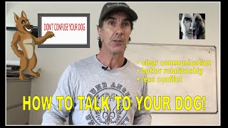 How to TALK to YOUR DOG  Robert Cabral  Dog Training Video [upl. by Barram]