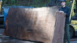 Live Edge For Beginners  Wood Bugs and Green Wood  How To Woodworking [upl. by Honorine]